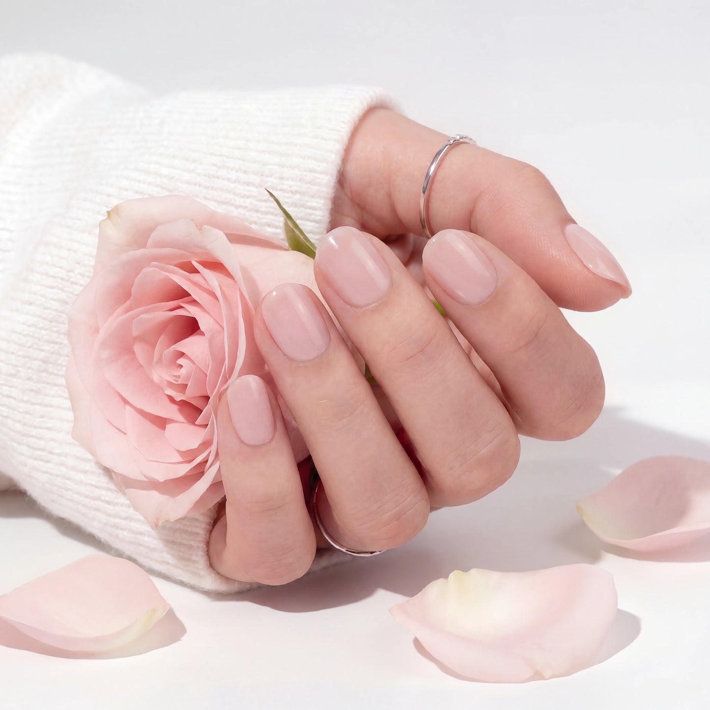 Blush Outlines