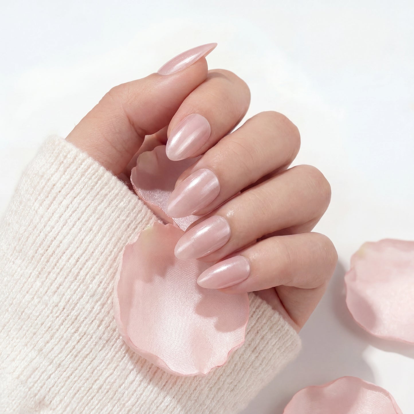 Petal Rose